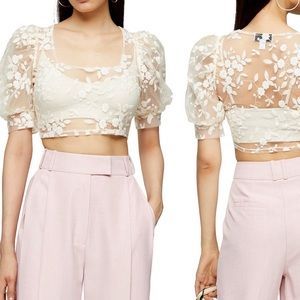 Topshop Embroidered Mesh Crop Top